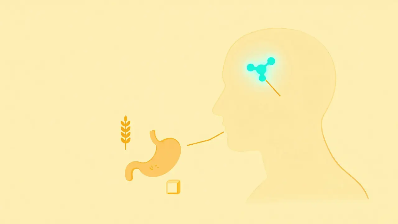 Abstract diagram linking brain, stomach, and food cravings simply