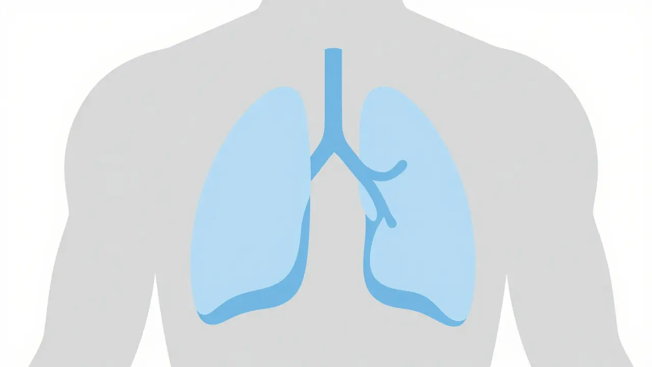 Pleural Effusion Explained: Causes, Thoracentesis Risks, and Stopping Recurrence
